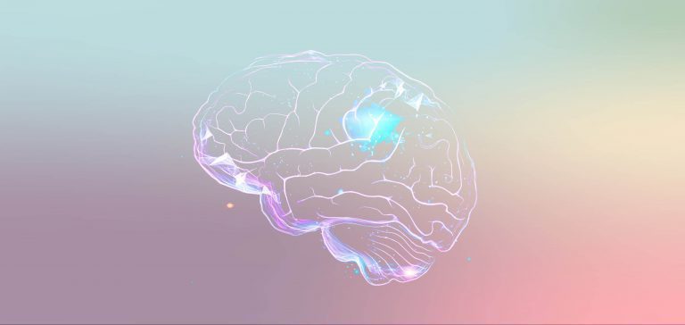How the brain forms habits